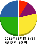 岡村環境開発 貸借対照表 2012年12月期