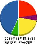 須永電気 貸借対照表 2011年11月期
