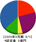 日興電機工業所 貸借対照表 2009年9月期