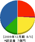 ヤマエイ長島建設 貸借対照表 2009年12月期