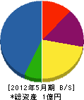 山中電工 貸借対照表 2012年5月期
