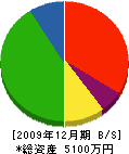 藤本鉄工 貸借対照表 2009年12月期