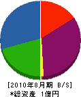 堀口電光社 貸借対照表 2010年8月期