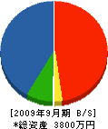田中電機商会 貸借対照表 2009年9月期