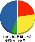 石川工務所 貸借対照表 2013年2月期