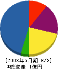 堀井建設 貸借対照表 2008年5月期