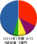竹内工業所 貸借対照表 2013年1月期
