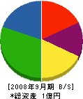 遠山商会 貸借対照表 2008年9月期