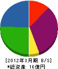 真志田建材 貸借対照表 2012年3月期
