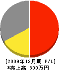 松山電気 損益計算書 2009年12月期