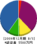 櫻田商店 貸借対照表 2009年12月期