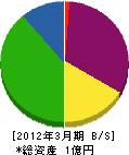 昭和石材工業 貸借対照表 2012年3月期