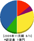 篠田設備工業 貸借対照表 2009年11月期
