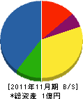 篠田設備工業 貸借対照表 2011年11月期