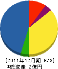 光電設 貸借対照表 2011年12月期