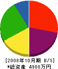 山崎工業 貸借対照表 2008年10月期