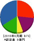 和田組 貸借対照表 2010年6月期