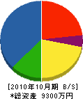 稲垣工務店 貸借対照表 2010年10月期