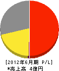 日本カリュウ 損益計算書 2012年6月期