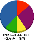 中野ハウジング 貸借対照表 2010年6月期