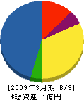 桂建設 貸借対照表 2009年3月期