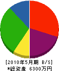 豊島建設 貸借対照表 2010年5月期