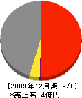 嶋本工務店 損益計算書 2009年12月期