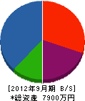 埼玉文化産業 貸借対照表 2012年9月期