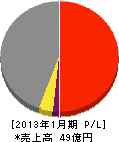 札幌大成機工 損益計算書 2013年1月期