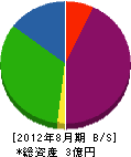 佐々木製作所 貸借対照表 2012年8月期
