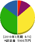 坂本電気 貸借対照表 2010年3月期