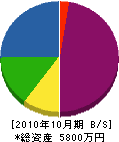 鈴木開発 貸借対照表 2010年10月期