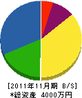 ヨコカワ 貸借対照表 2011年11月期