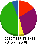 矢野鉄工所 貸借対照表 2010年12月期
