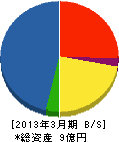 石塚組 貸借対照表 2013年3月期