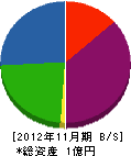 鎌田組 貸借対照表 2012年11月期