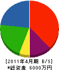 岩昭電機 貸借対照表 2011年4月期