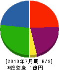 桝井組 貸借対照表 2010年7月期