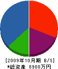 神成土建 貸借対照表 2009年10月期