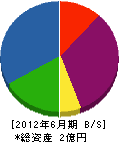 堀井工務店 貸借対照表 2012年6月期