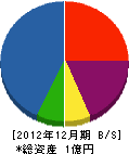 中田採石工業 貸借対照表 2012年12月期