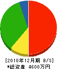 木曽川組 貸借対照表 2010年12月期