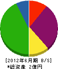 埼玉ニットー 貸借対照表 2012年6月期