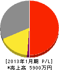 田村電器 損益計算書 2013年1月期