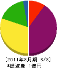 中村ビル 貸借対照表 2011年8月期