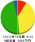 秋山組 貸借対照表 2012年10月期
