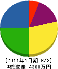 加藤石材店 貸借対照表 2011年1月期