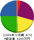 丸田商店 貸借対照表 2008年12月期