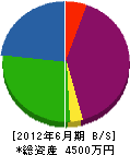 吉松電気工事 貸借対照表 2012年6月期