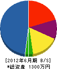 戸梶開発 貸借対照表 2012年6月期